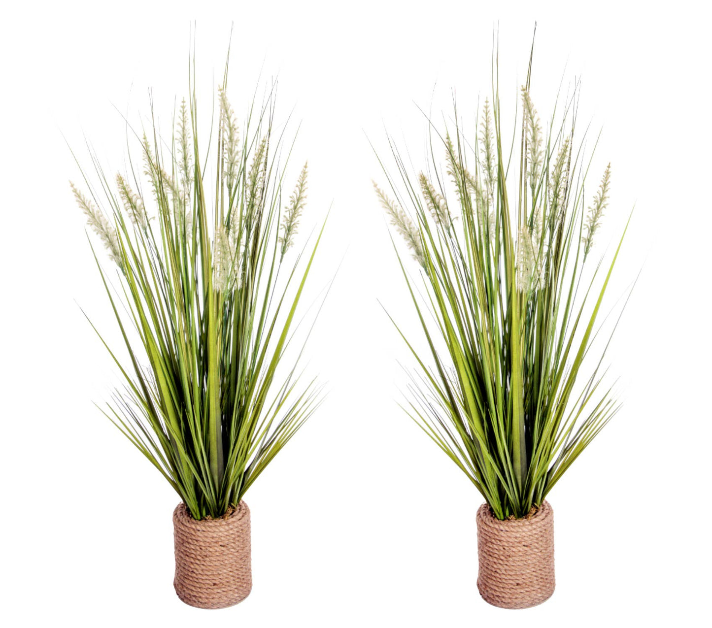 Onion Grass 40"