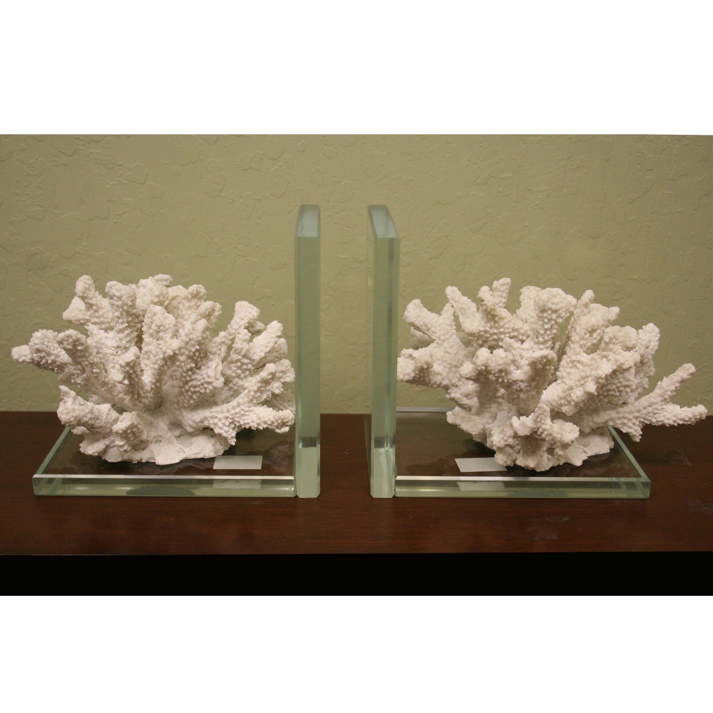 White Coral & Acrylic Bookends Set of 2