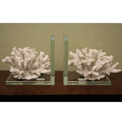 White Coral & Acrylic Bookends Set of 2