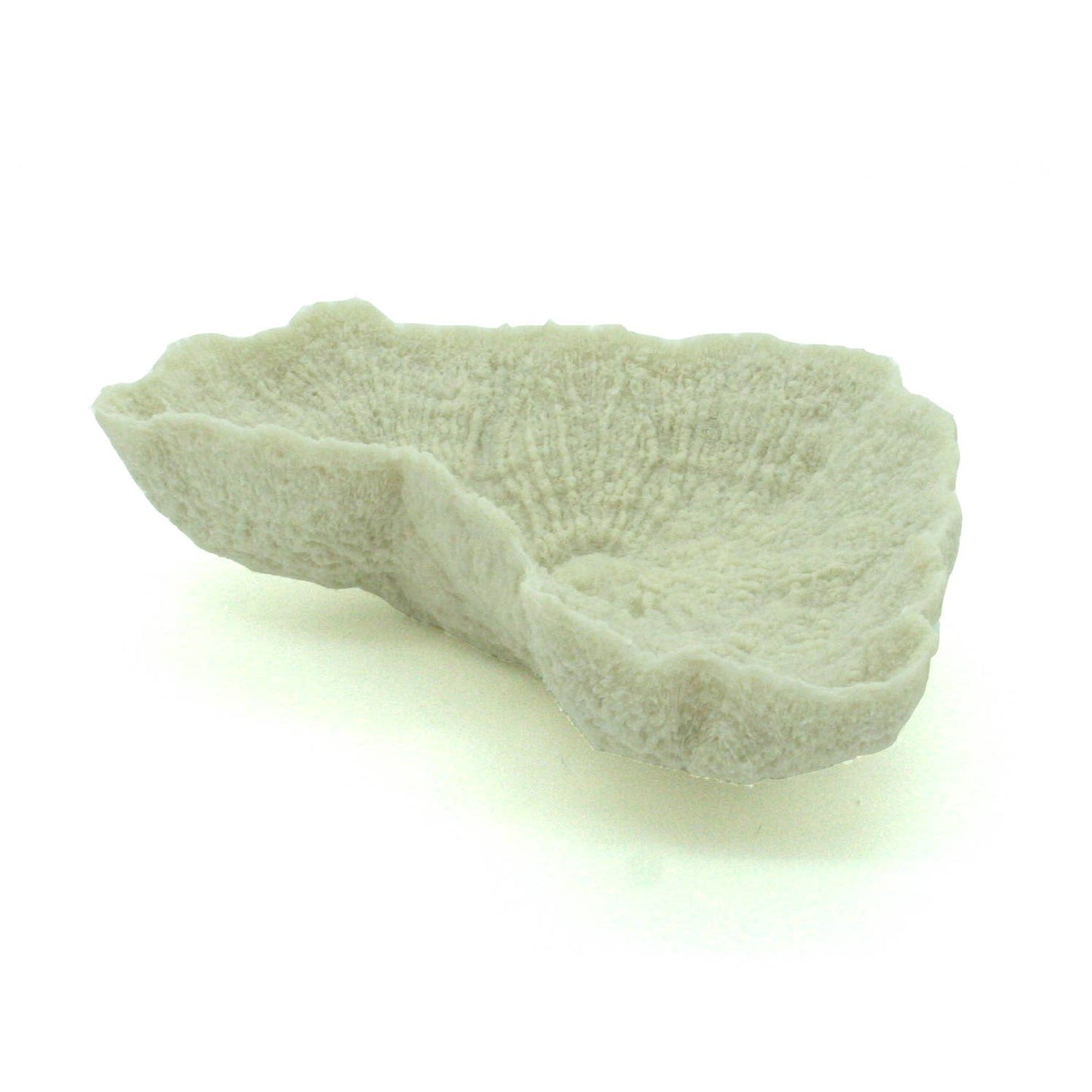 Faux Ivory Mushroom Plate Coral