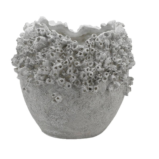 Orchids in Large Barnacle Vase