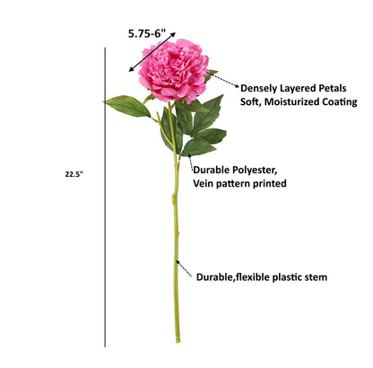 23.5"-Real Touch Moisturized Coating Peony Stem: Begonia Pink