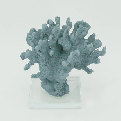 Indigo Ridge Coral