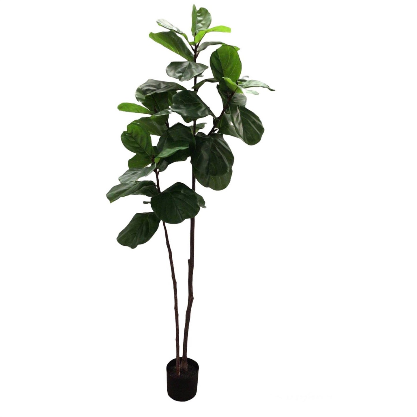 Potted Fiddle Leaf Tree 70”
