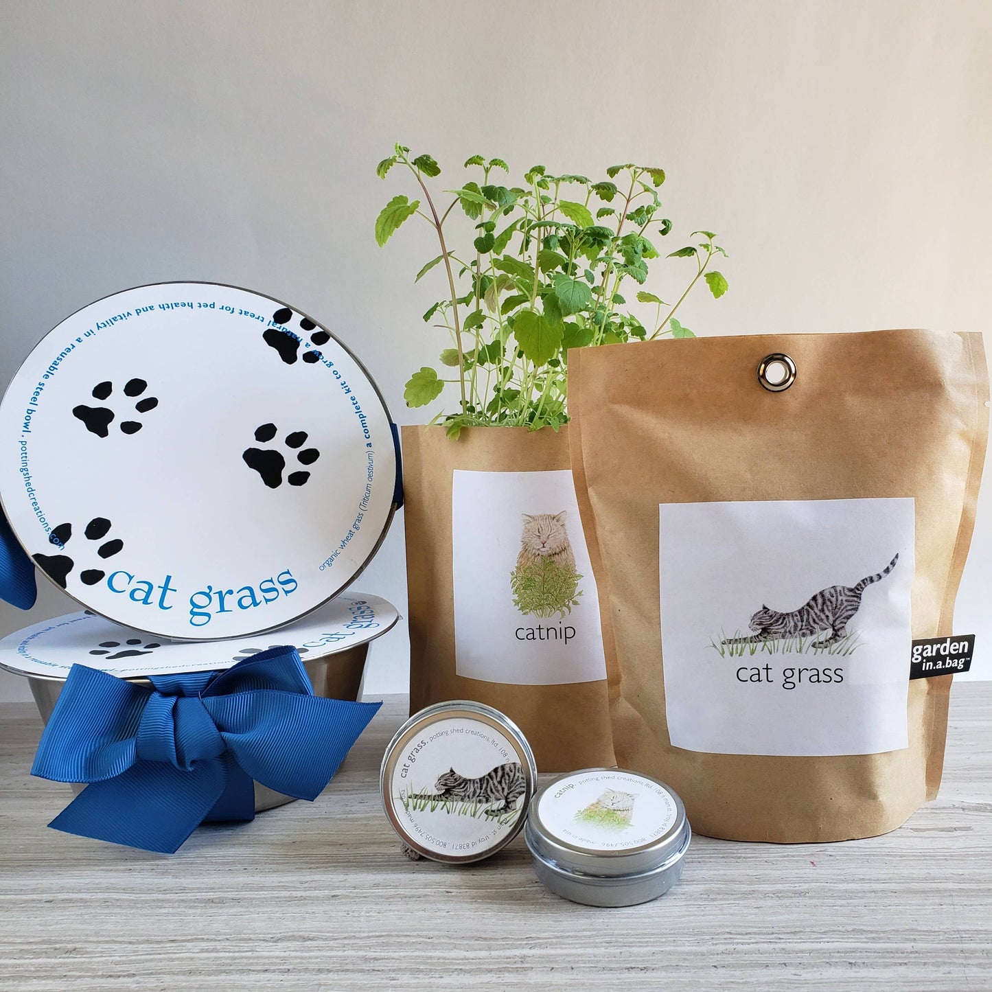 Garden in a Bag - Cat Grass