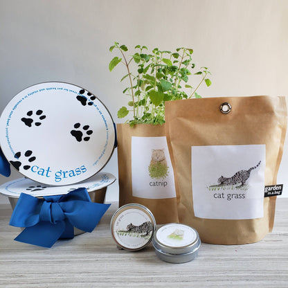 Garden in a Bag - Cat Grass