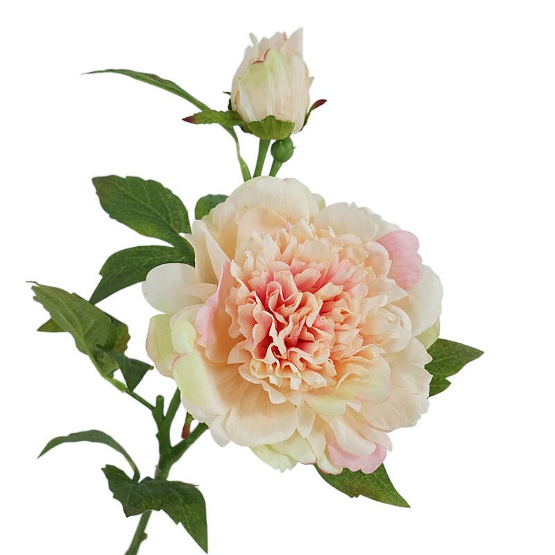 25.5"- Real Touch Peony Stem-2 Blooms: White