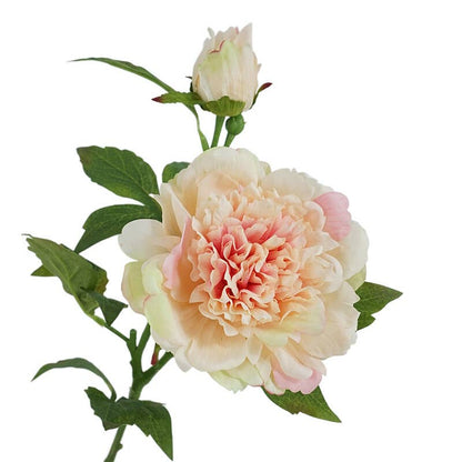 25.5"- Real Touch Peony Stem-2 Blooms: White