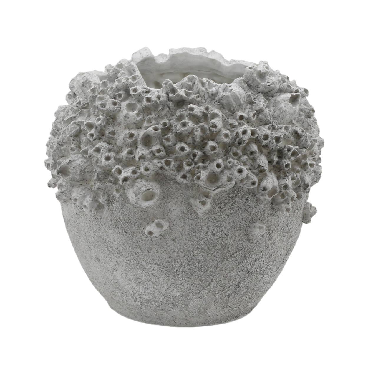 Large Barnacle Dry Vase