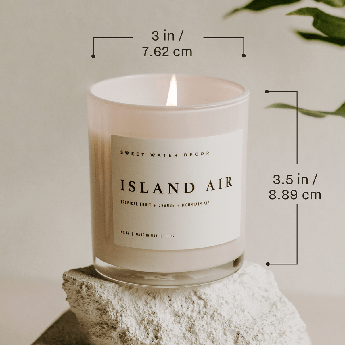 White Tea and Jasmine 11 oz Soy Candle - Home Decor