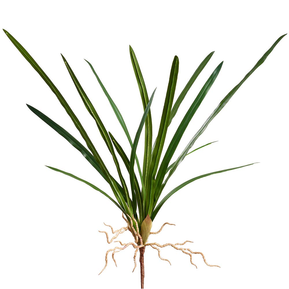 Cymbidium Orchid Leaf Plant Green | 27"