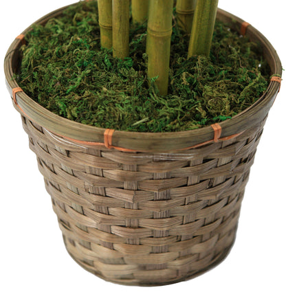 Tall Bamboo Tree With Planter 72"