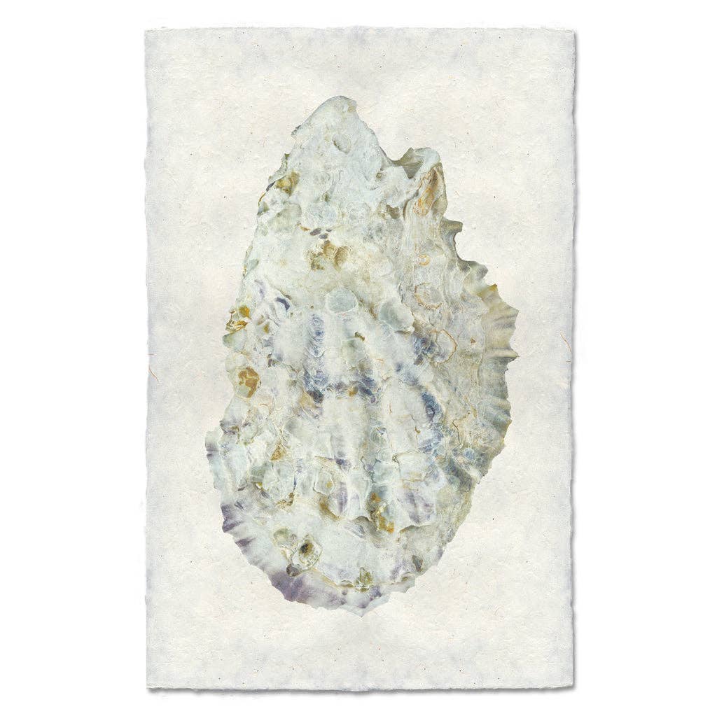 Oyster Study #2: English watercolor / Small (9x14)