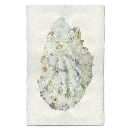 Oyster Study #2: English watercolor / Small (9x14)
