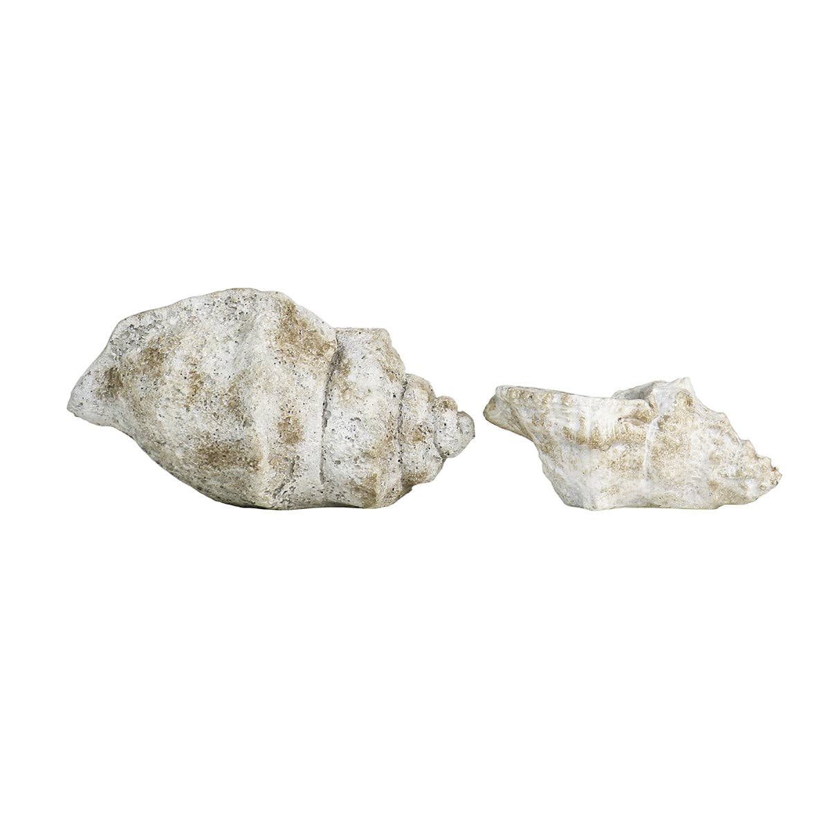 Cast Concrete Conch Shell: Small