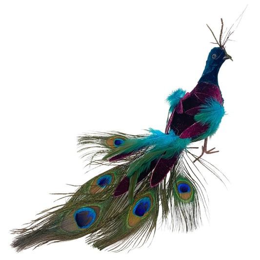 PEACOCK