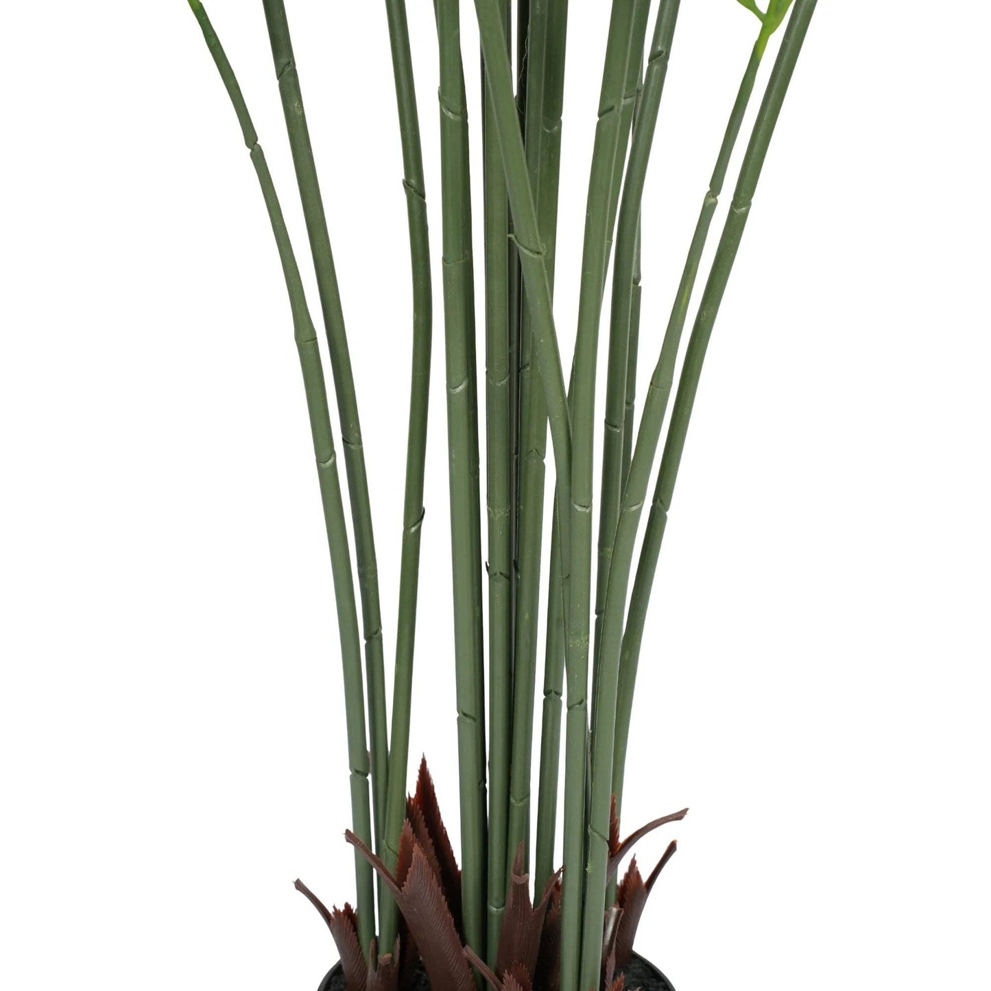 Palm Tree 70"