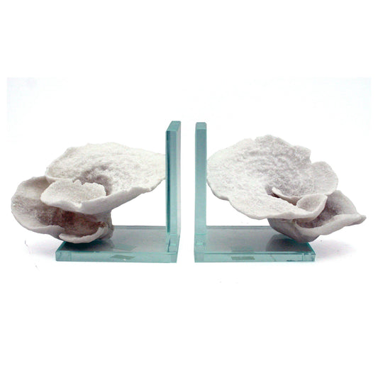 White Montipora Coral Glass Bookends Set of 2