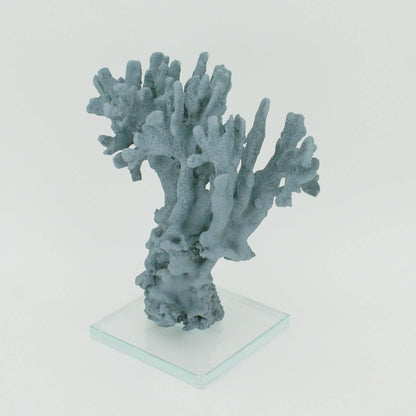 Indigo Ridge Coral Medium