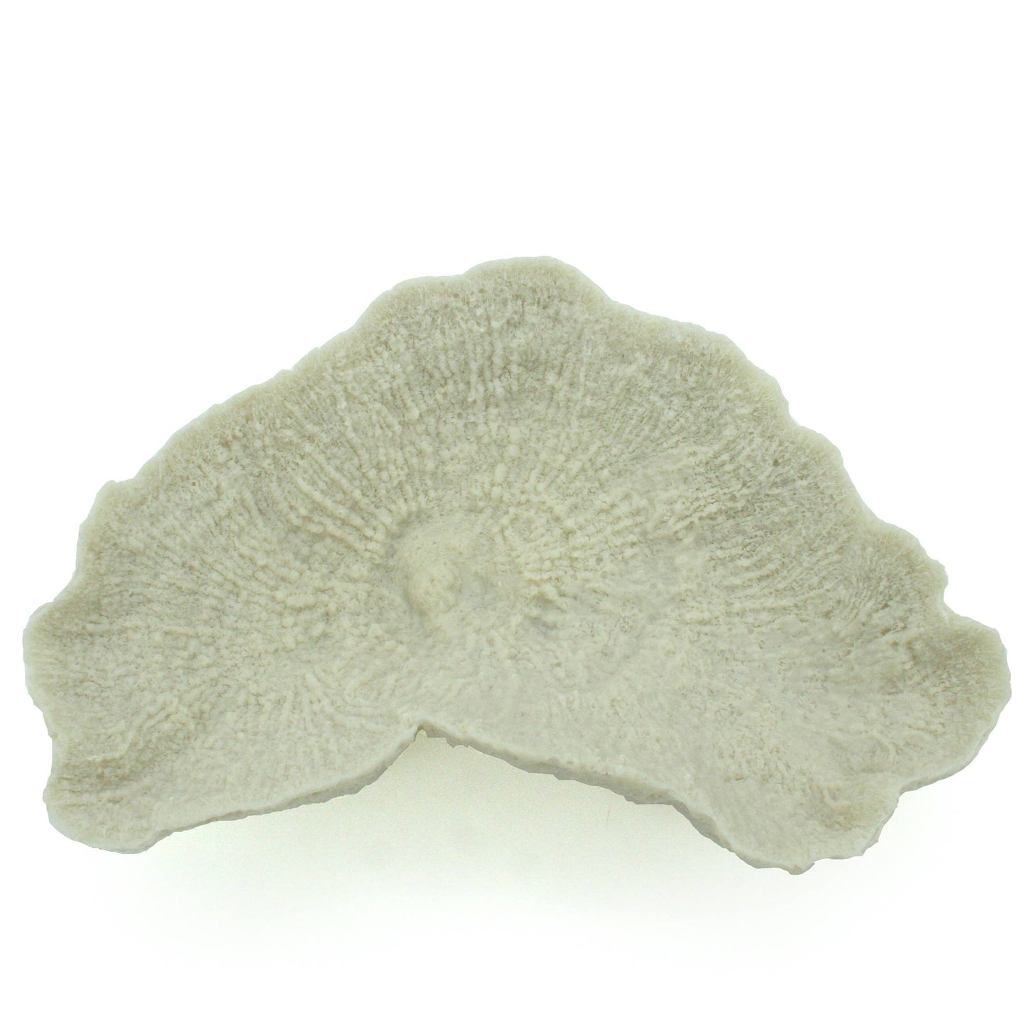 Faux Ivory Mushroom Plate Coral