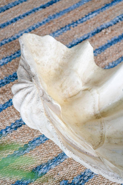 Clam Shell 25x16.5x8.5"