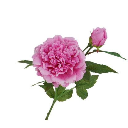 25.5"- Real Touch Peony Stem-2 Blooms: Hot Pink