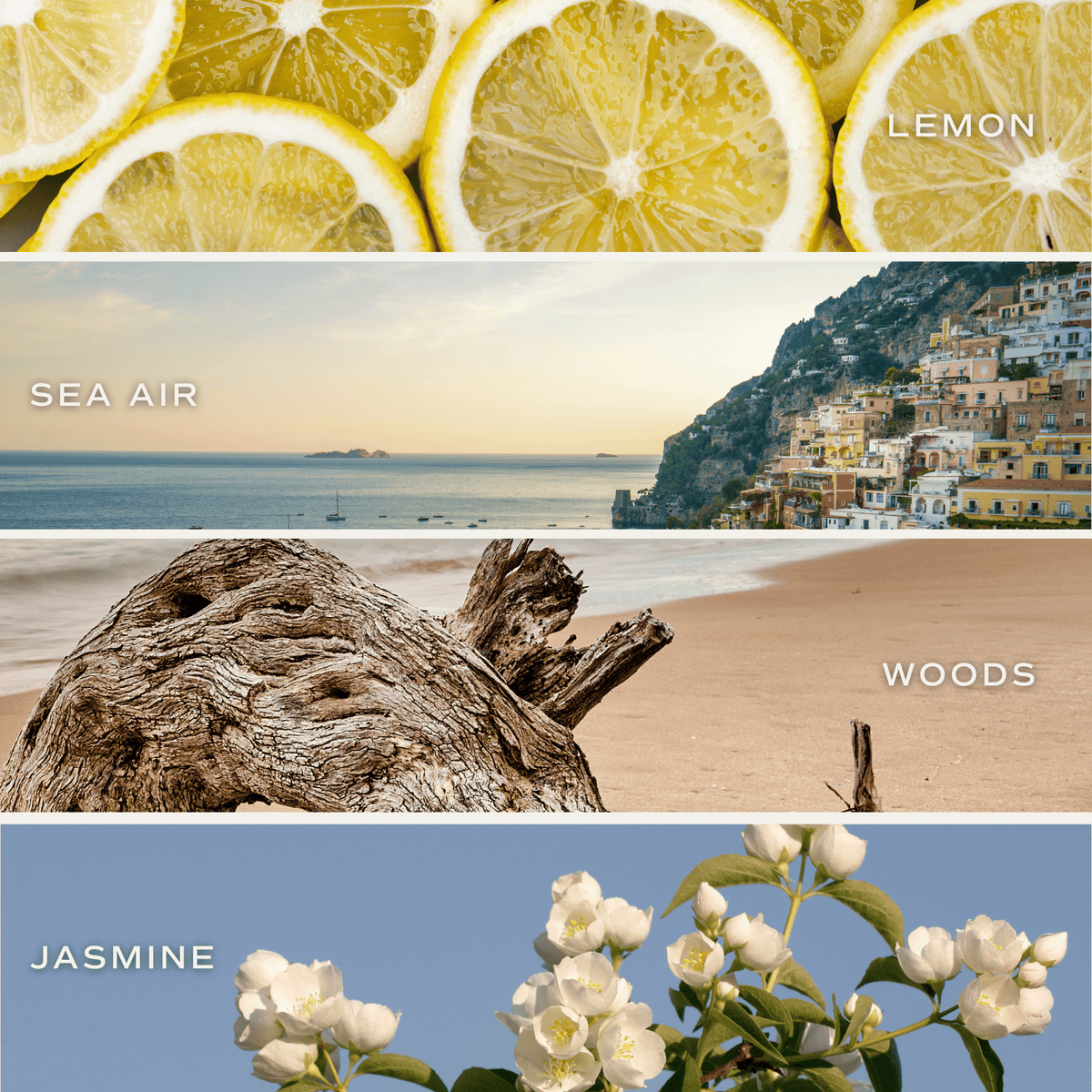Coastal Lemon 15 oz Soy Candle, Matte Jar - Home Decor