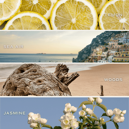 Coastal Lemon 15 oz Soy Candle, Matte Jar - Home Decor