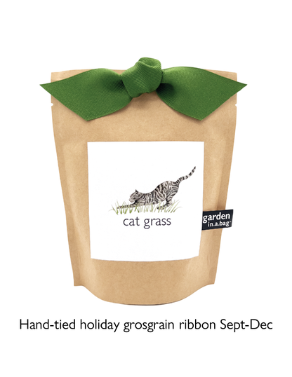 Garden in a Bag - Cat Grass