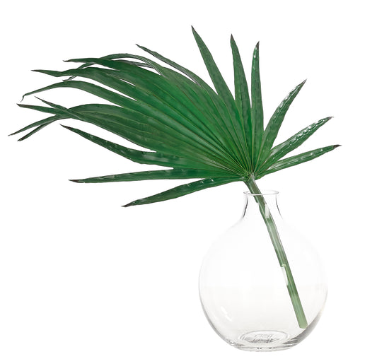 Fan Palm In Bud Vase