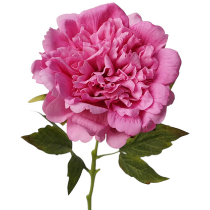 23.5"-Real Touch Moisturized Coating Peony Stem: Begonia Pink