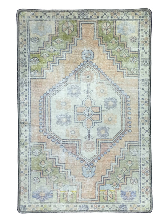 Erin Beige & Green Turkish Rug 2x3’