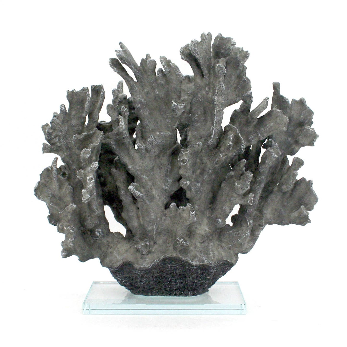 Large Grey Ridge Coral on Acrylic Base
