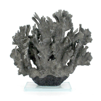 Large Grey Ridge Coral on Acrylic Base
