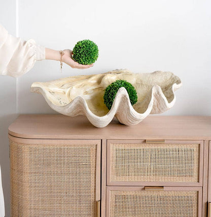 Clam Shell 25x16.5x8.5"