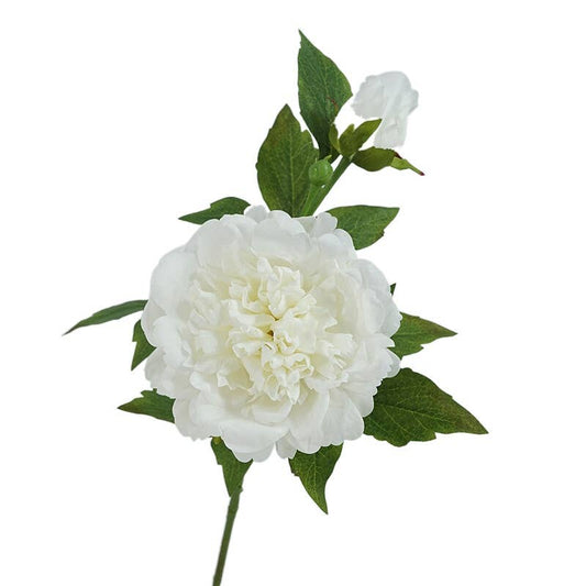 25.5"- Real Touch Peony Stem-2 Blooms: White