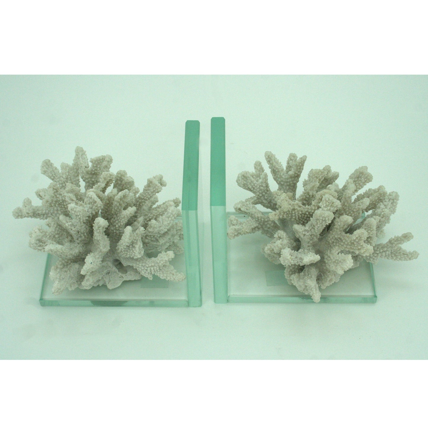 White Coral & Acrylic Bookends Set of 2