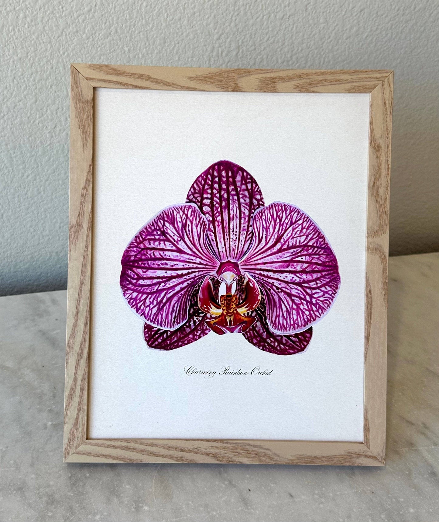 Charming Rainbow Orchid Print: 11x14"