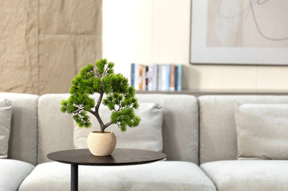 14” Faux Bonsai Tree