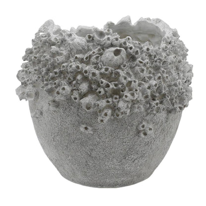 Large Barnacle Dry Vase