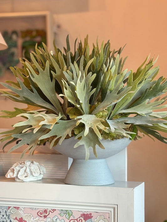 Stag Horn in Grey Planter