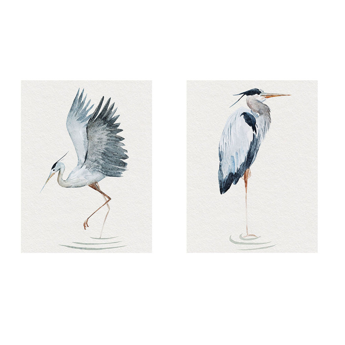 Blue Heron Print 1