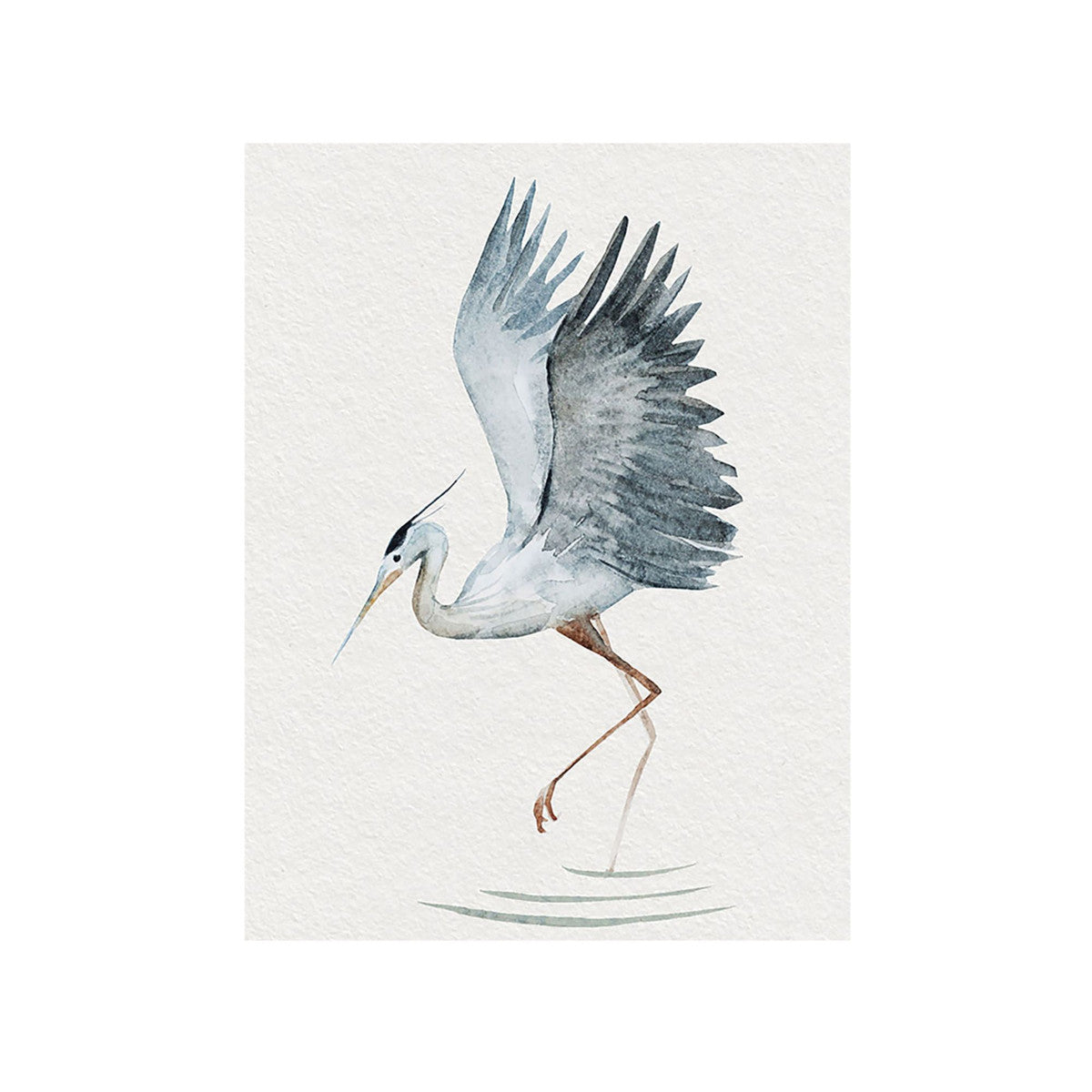 Blue Heron Print 2