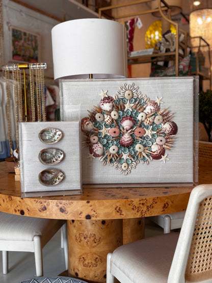 Small Shell Shadow Box
