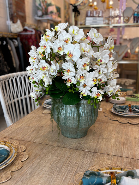 Large Orchid Arrangment