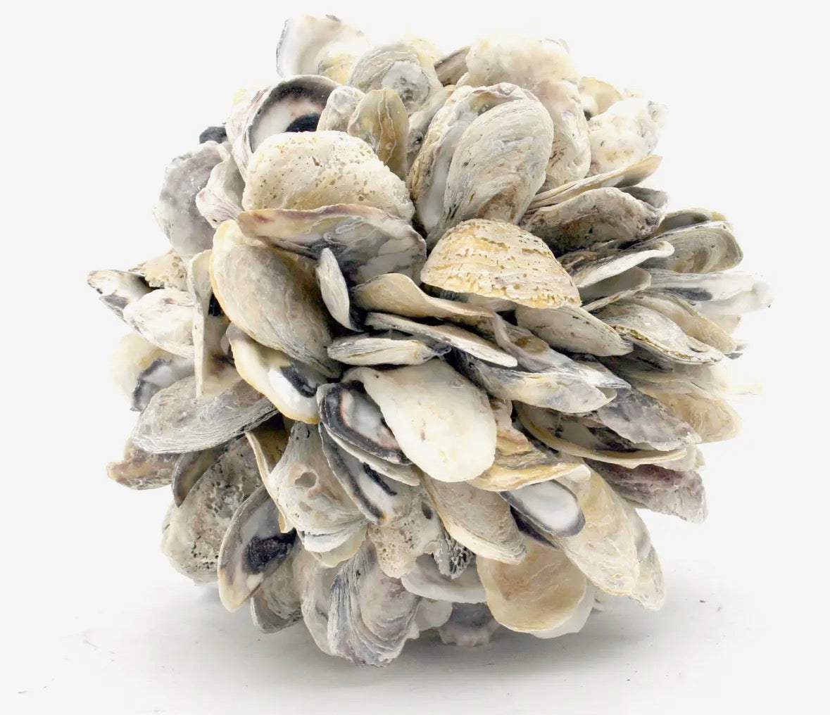 Oyster Shell Ball