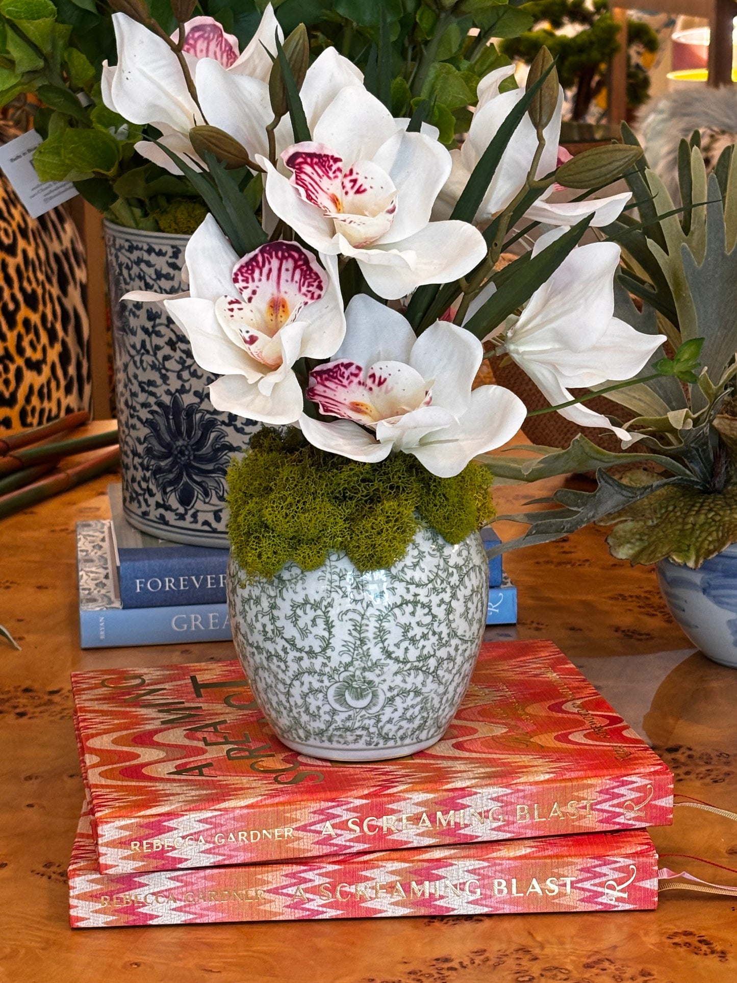 Pink Orchid in Green & White Pot
