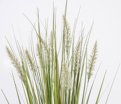 Onion Grass 40"