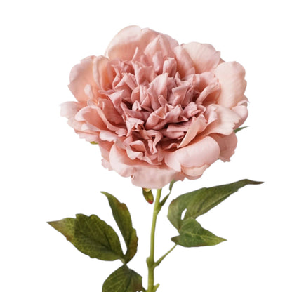 23.5"-Real Touch Moisturized Coating Peony Stem: Begonia Pink