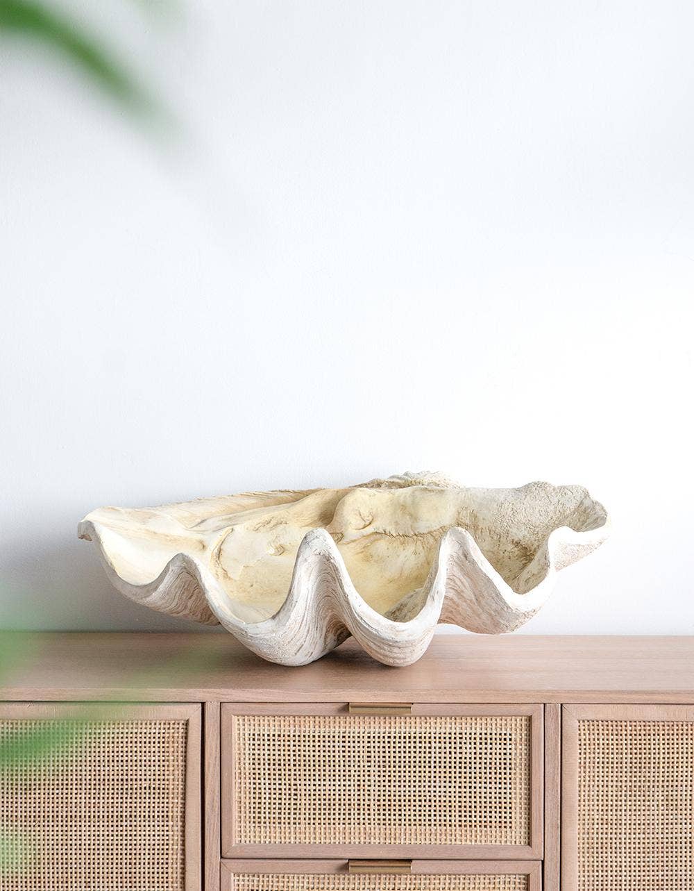 Clam Shell 25x16.5x8.5"